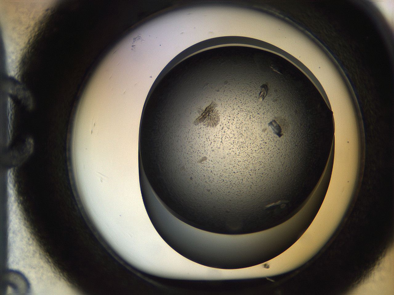 05bv_C8_ImagerDefaults_9.jpg