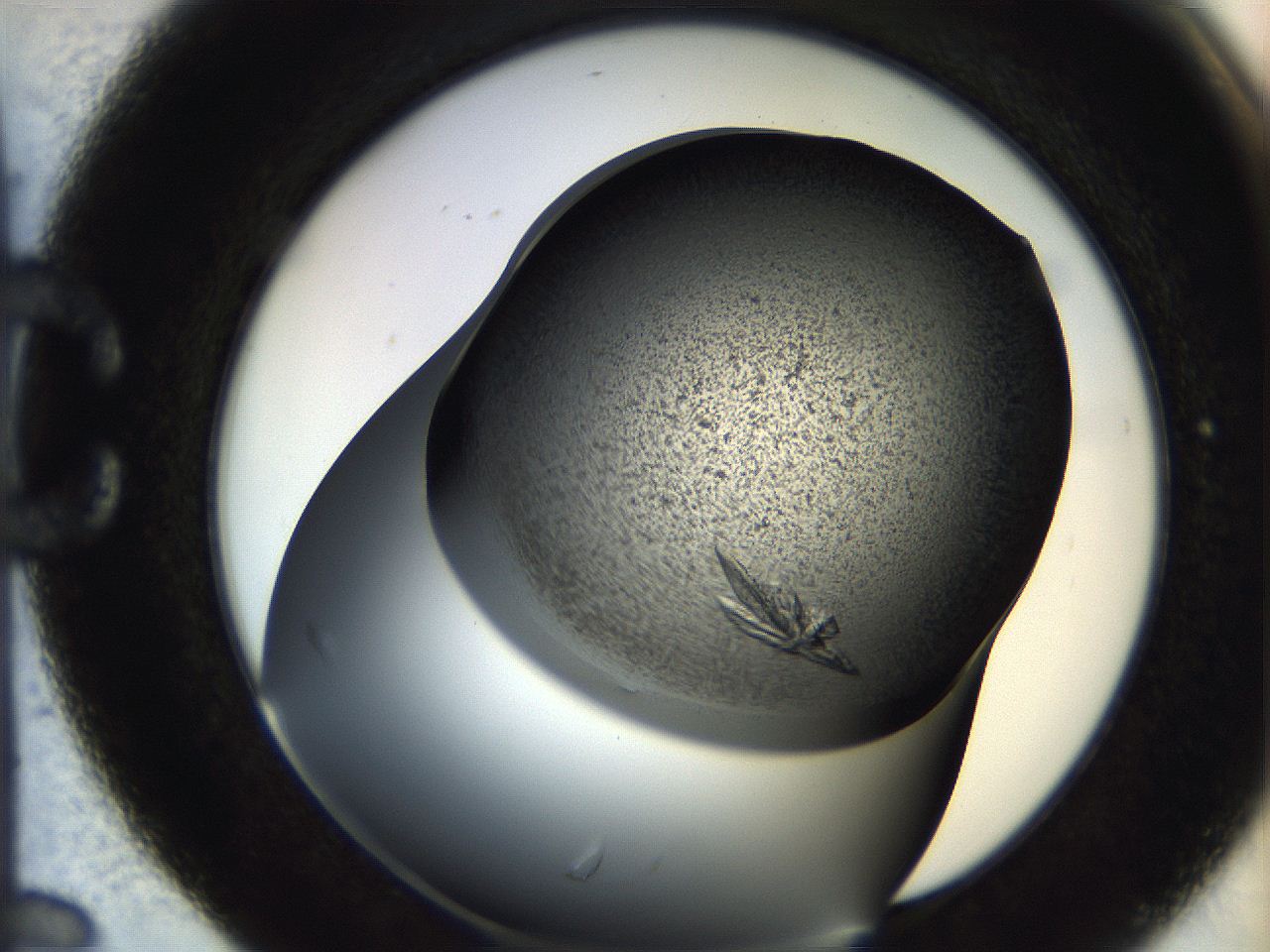 05bv_C6_ImagerDefaults_9.jpg