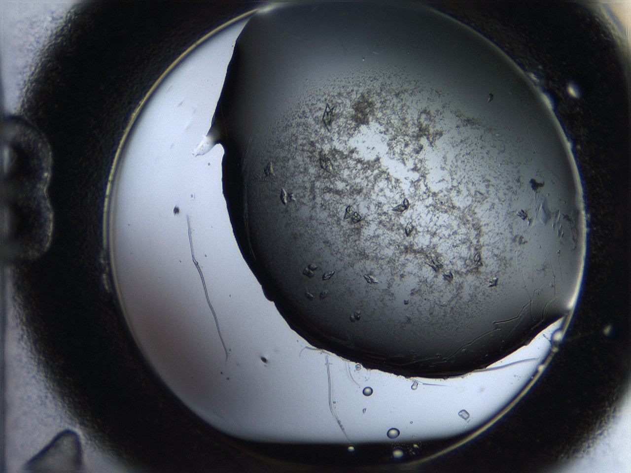 05bw_B11_ImagerDefaults_8.jpg