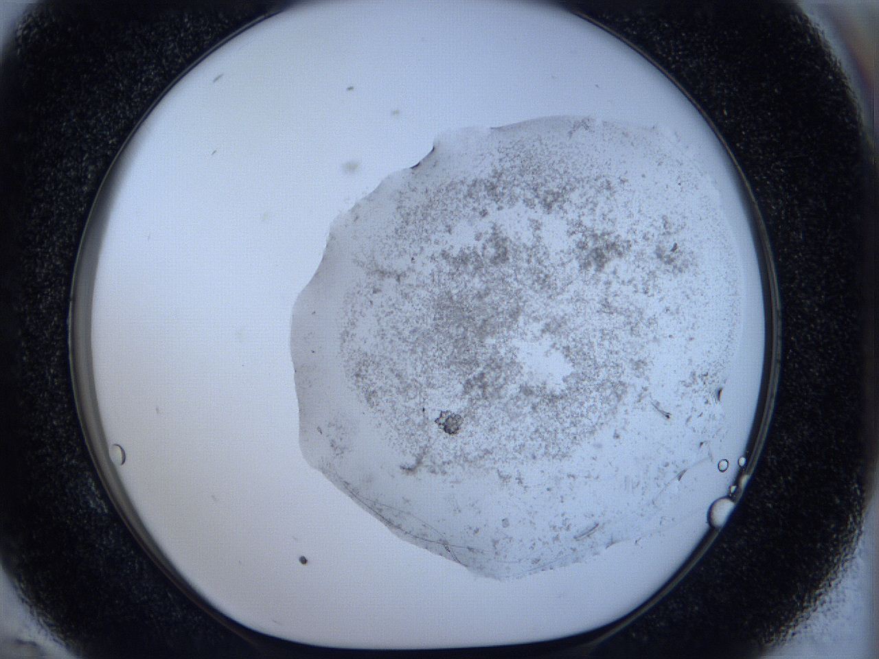 05c5_E10_ImagerDefaults_9.jpg
