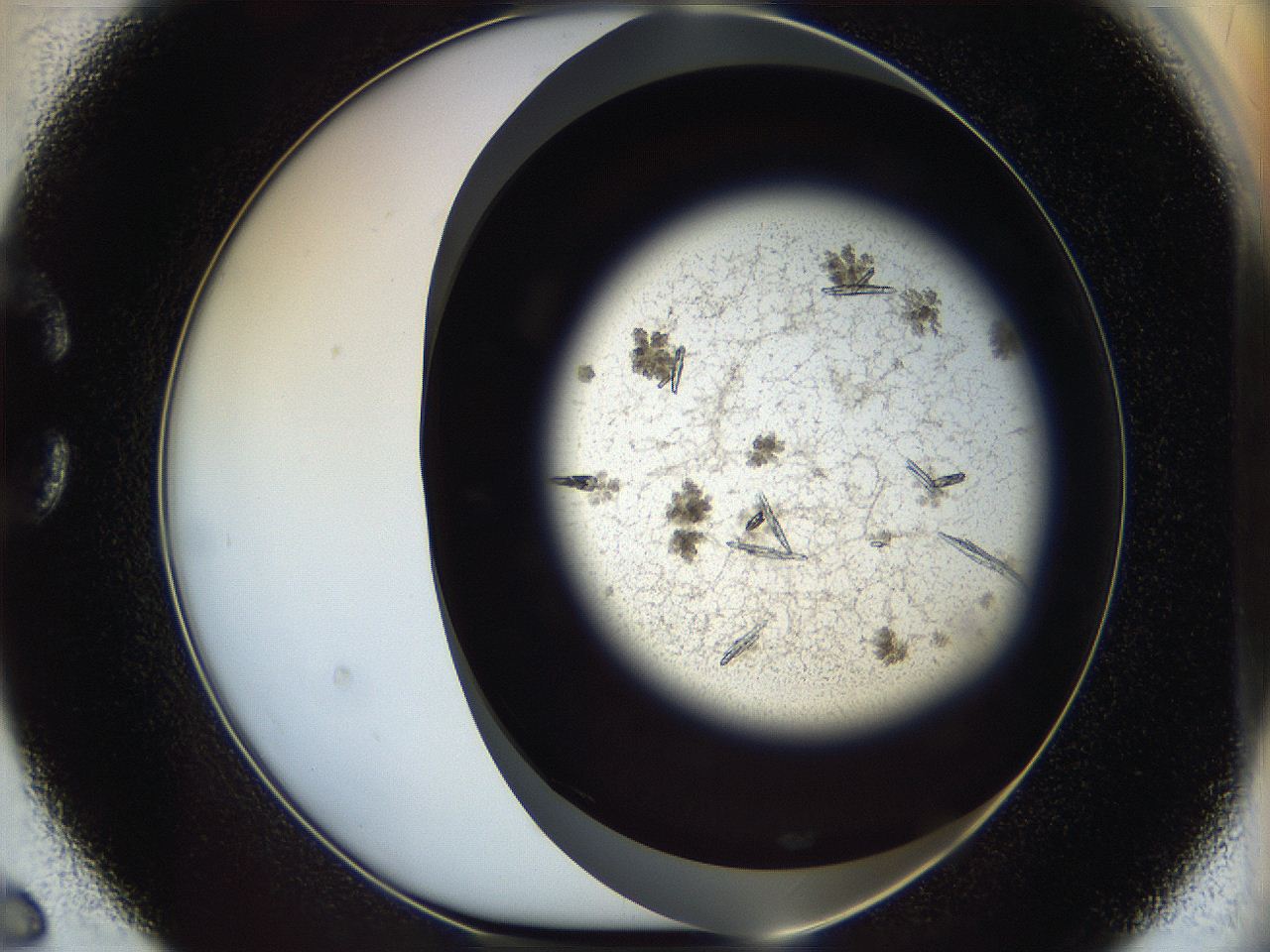 05cf_C6_ImagerDefaults_8.jpg