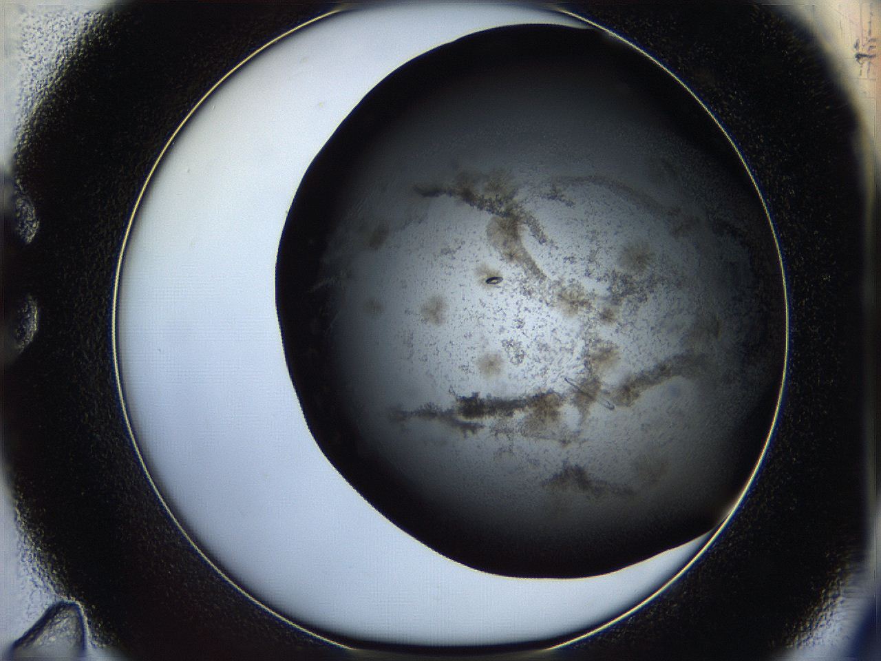 05cf_C11_ImagerDefaults_8.jpg
