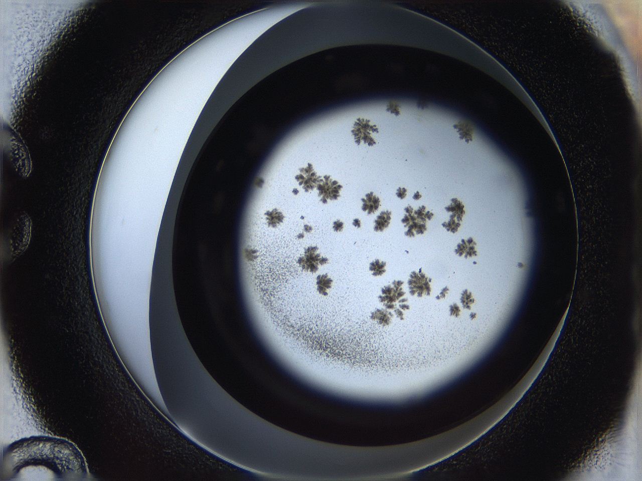 05cf_C12_ImagerDefaults_6.jpg