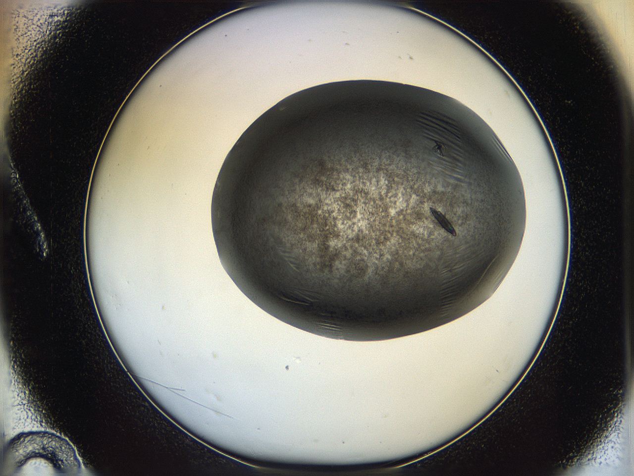05cf_A10_ImagerDefaults_7.jpg