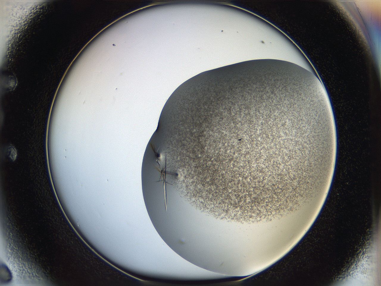 05cf_E6_ImagerDefaults_8.jpg