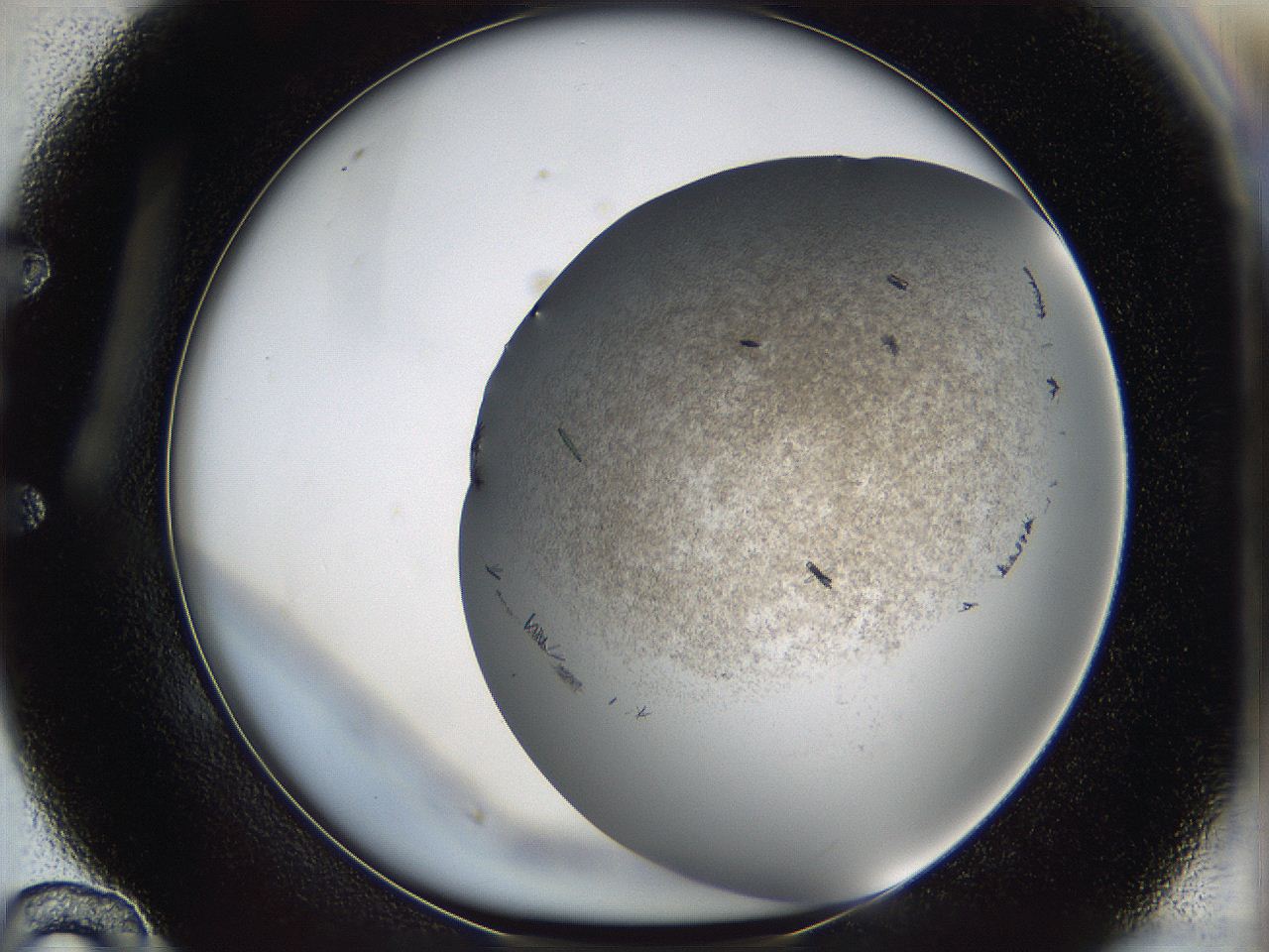 05cf_E10_ImagerDefaults_6.jpg