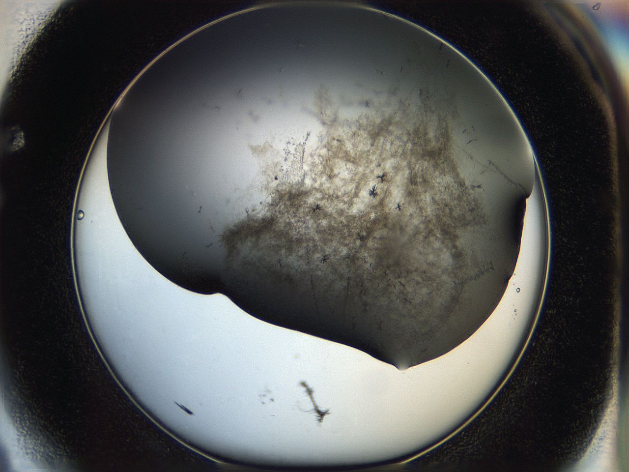 05cf_F4_ImagerDefaults_6.jpg