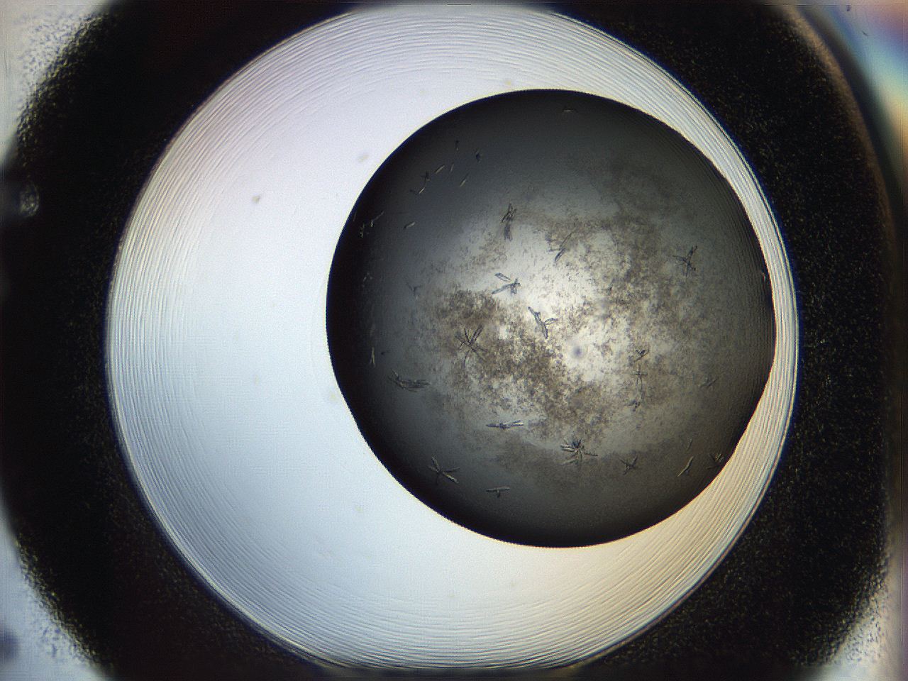 05cf_F5_ImagerDefaults_7.jpg