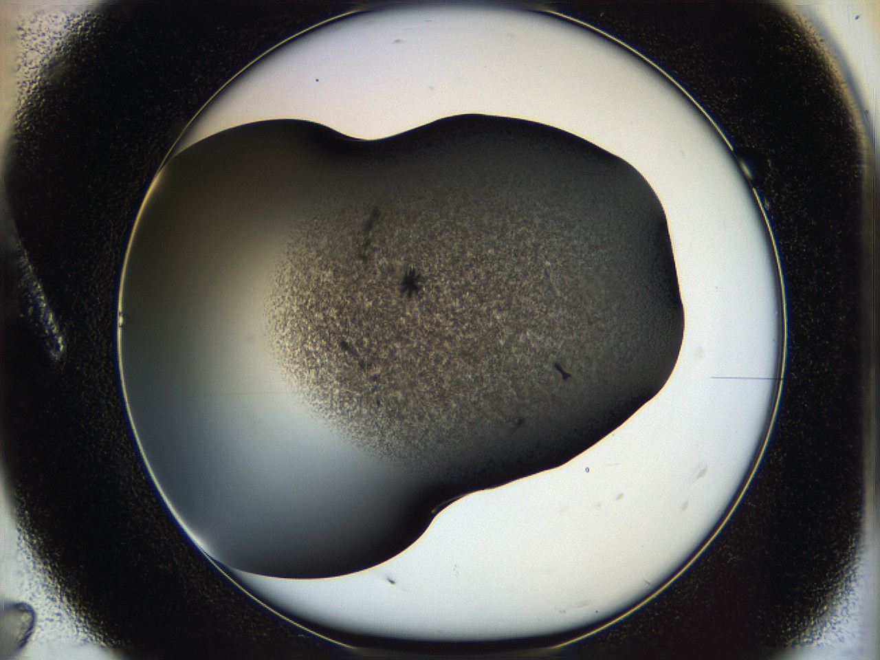 05cf_A7_ImagerDefaults_6.jpg