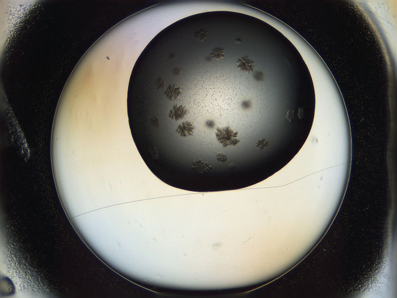 05cf_A6_ImagerDefaults_6.jpg