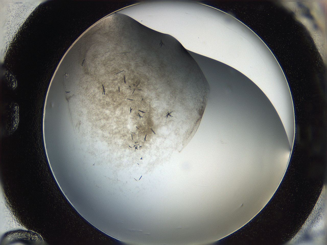 05cf_G12_ImagerDefaults_6.jpg