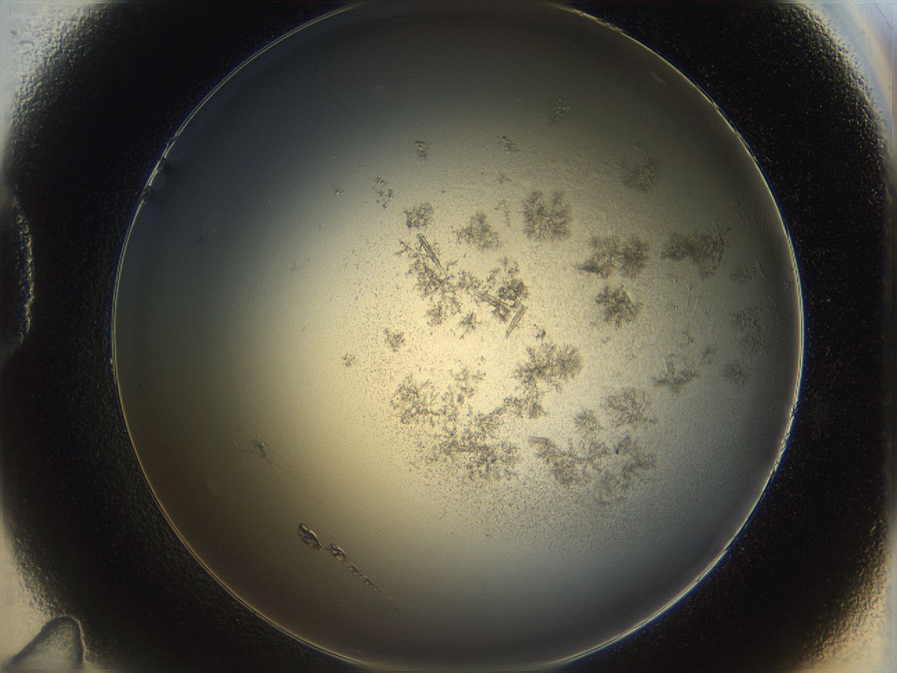05cf_D11_ImagerDefaults_9.jpg
