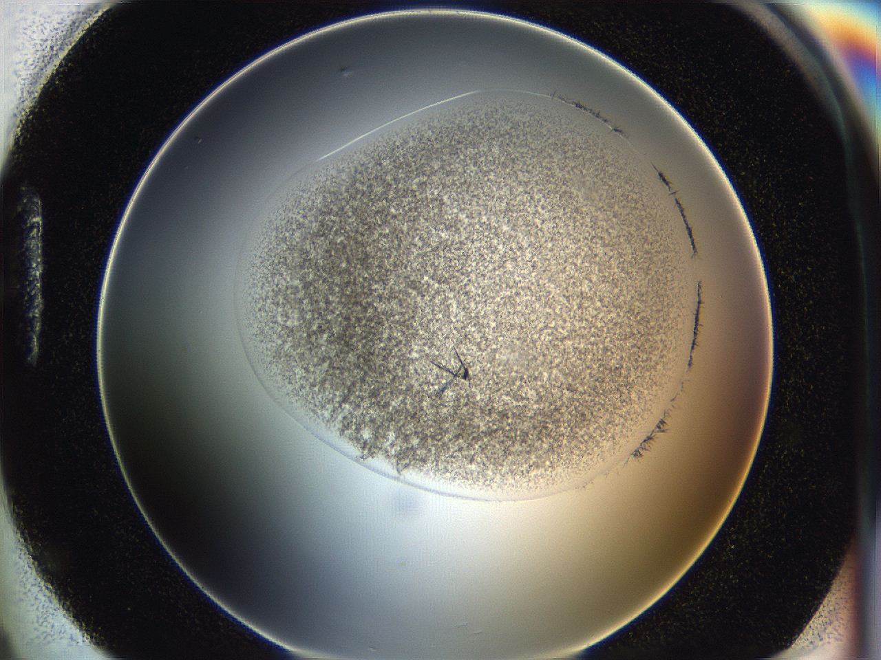 05cf_H4_ImagerDefaults_6.jpg