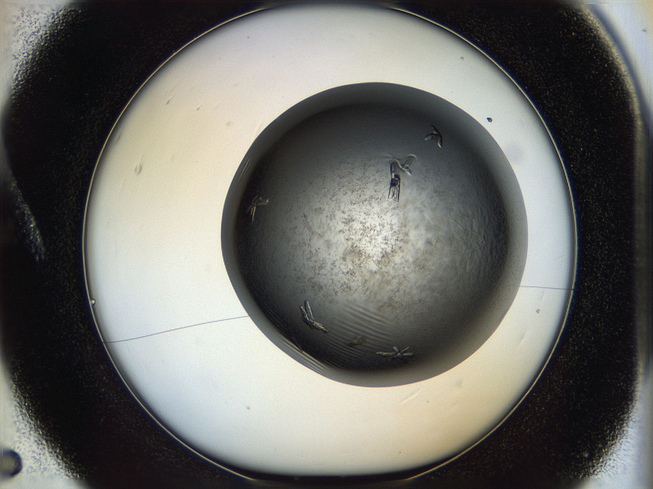 05cf_A5_ImagerDefaults_8.jpg