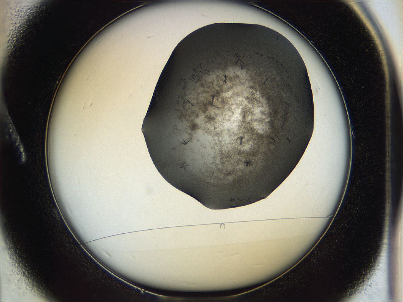 05cf_A1_ImagerDefaults_6.jpg