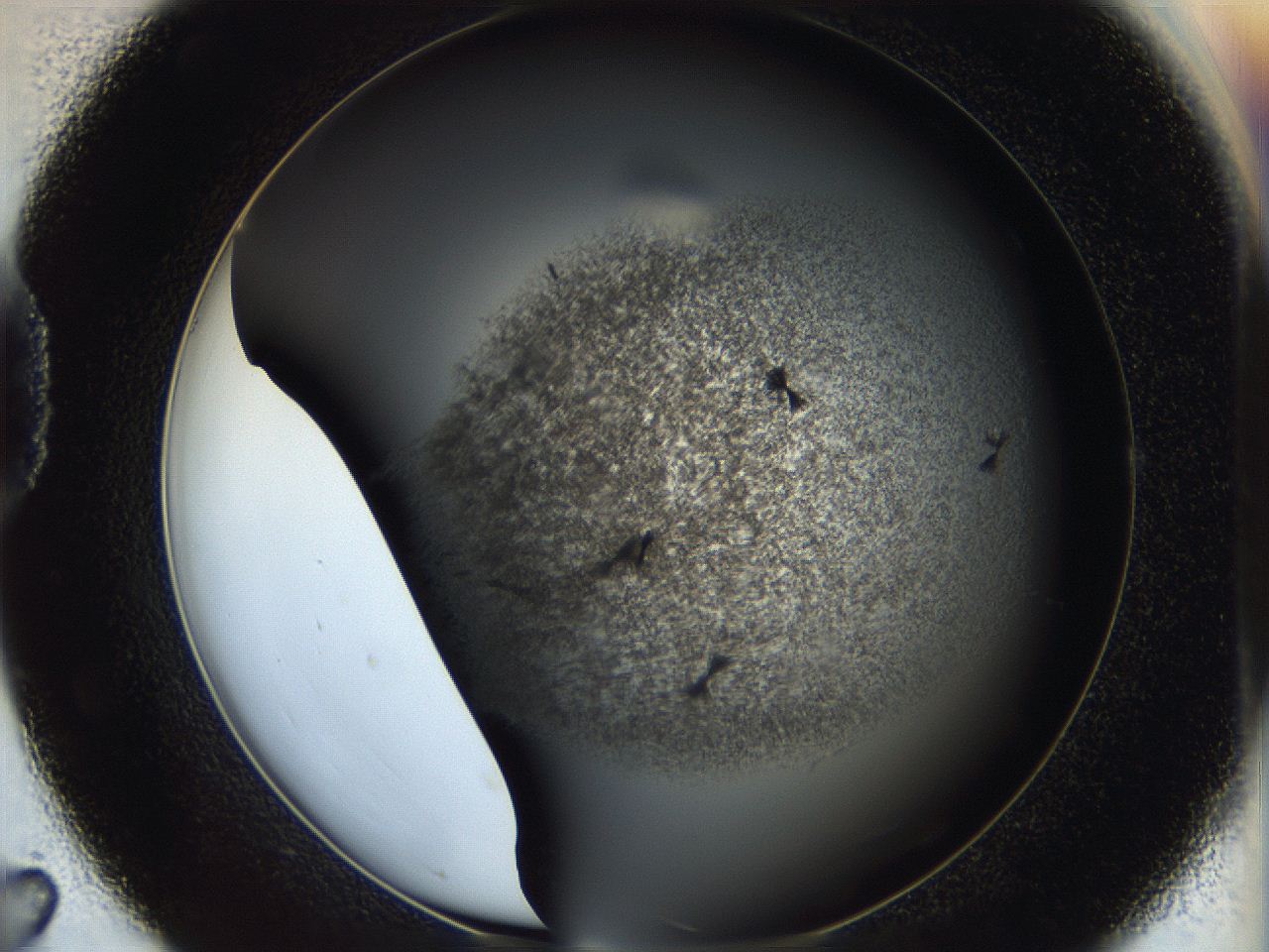 05cf_D7_ImagerDefaults_6.jpg