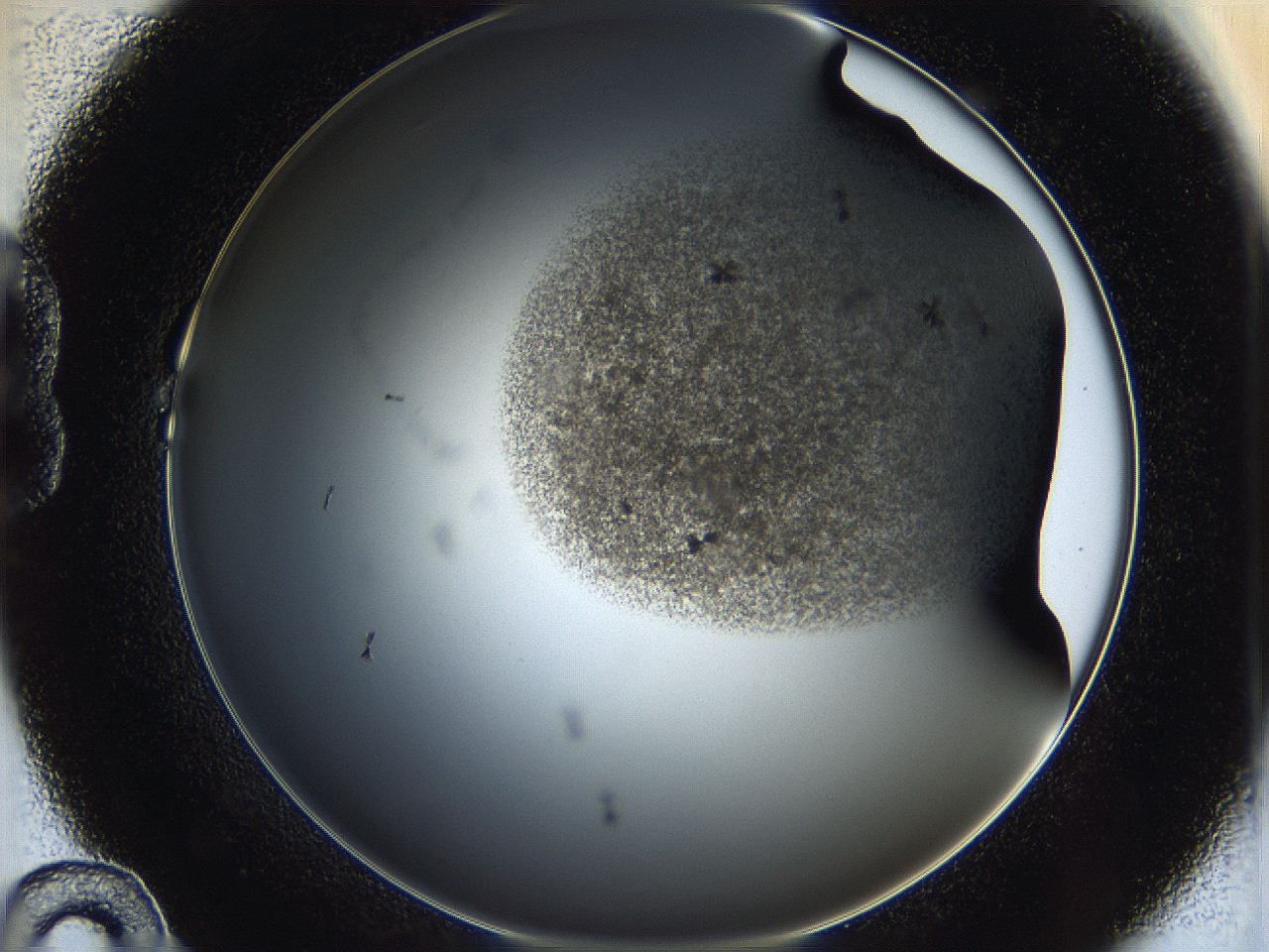 05cf_B10_ImagerDefaults_6.jpg