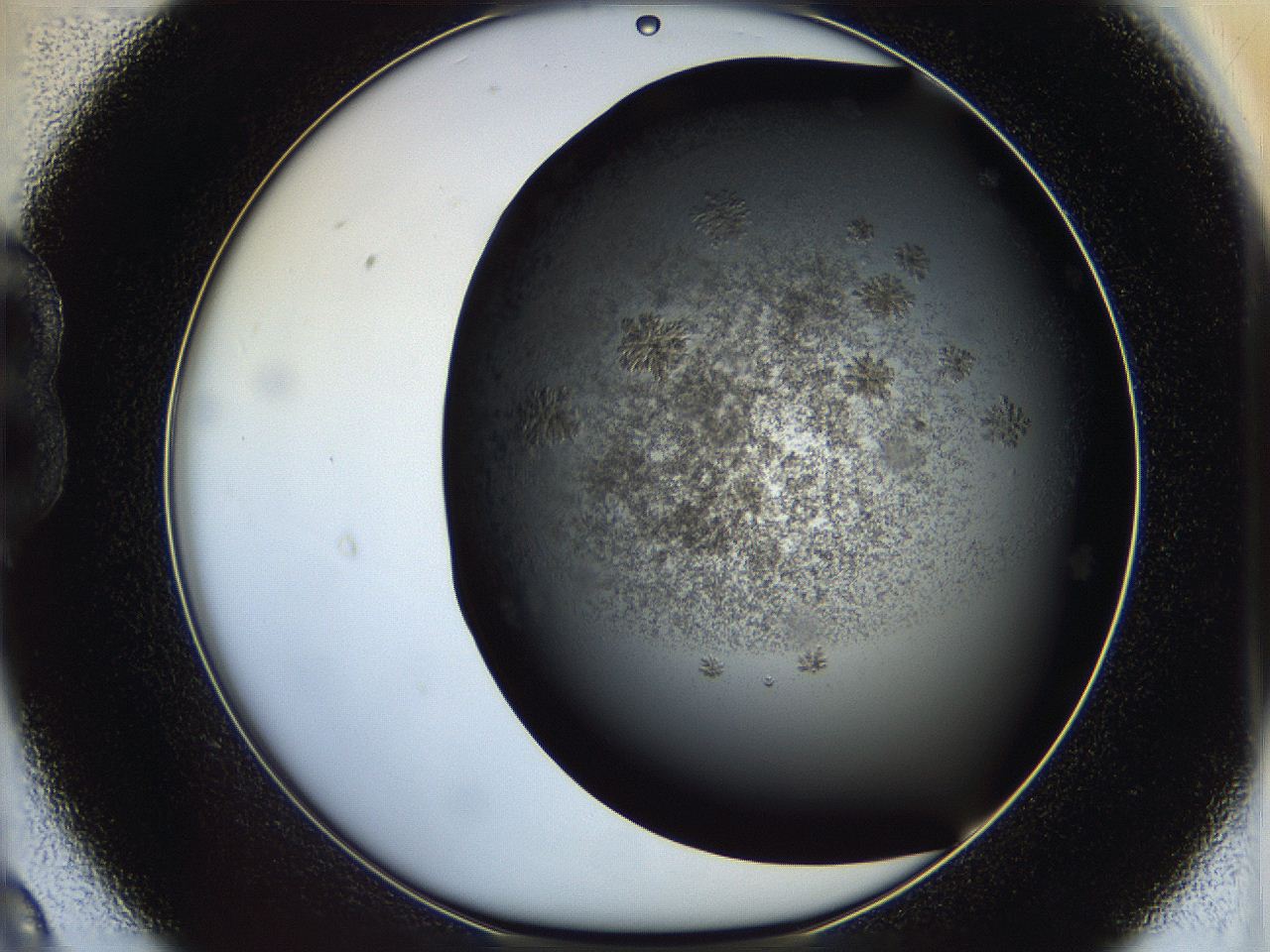 05cf_B9_ImagerDefaults_6.jpg