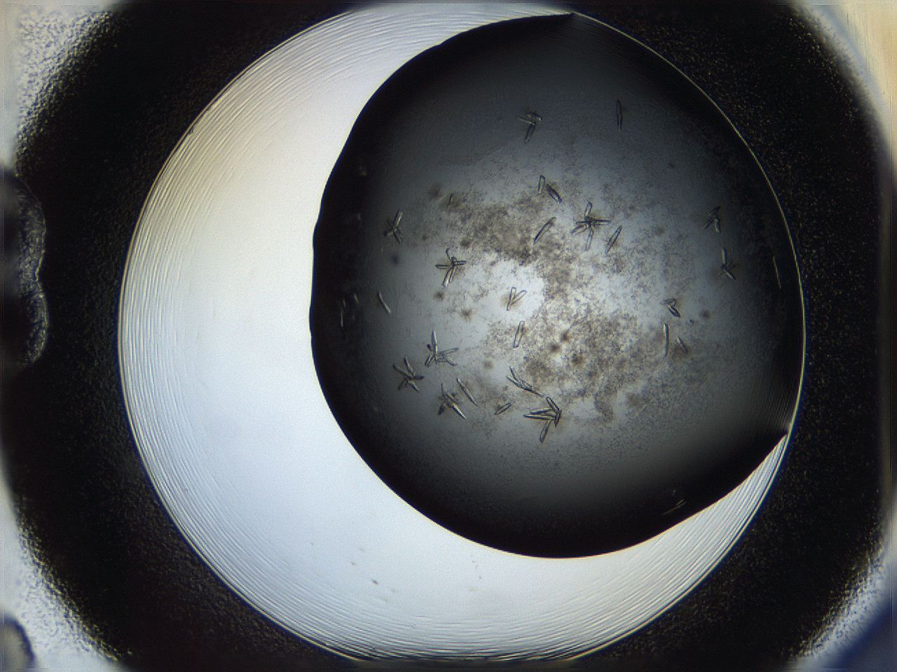 05cf_B8_ImagerDefaults_8.jpg