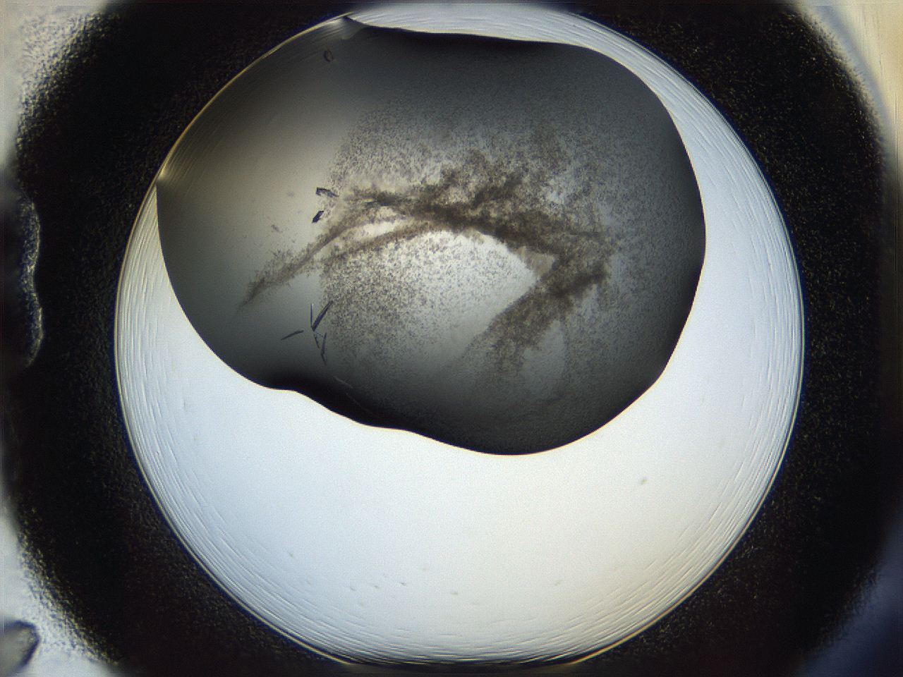 05cf_B7_ImagerDefaults_8.jpg