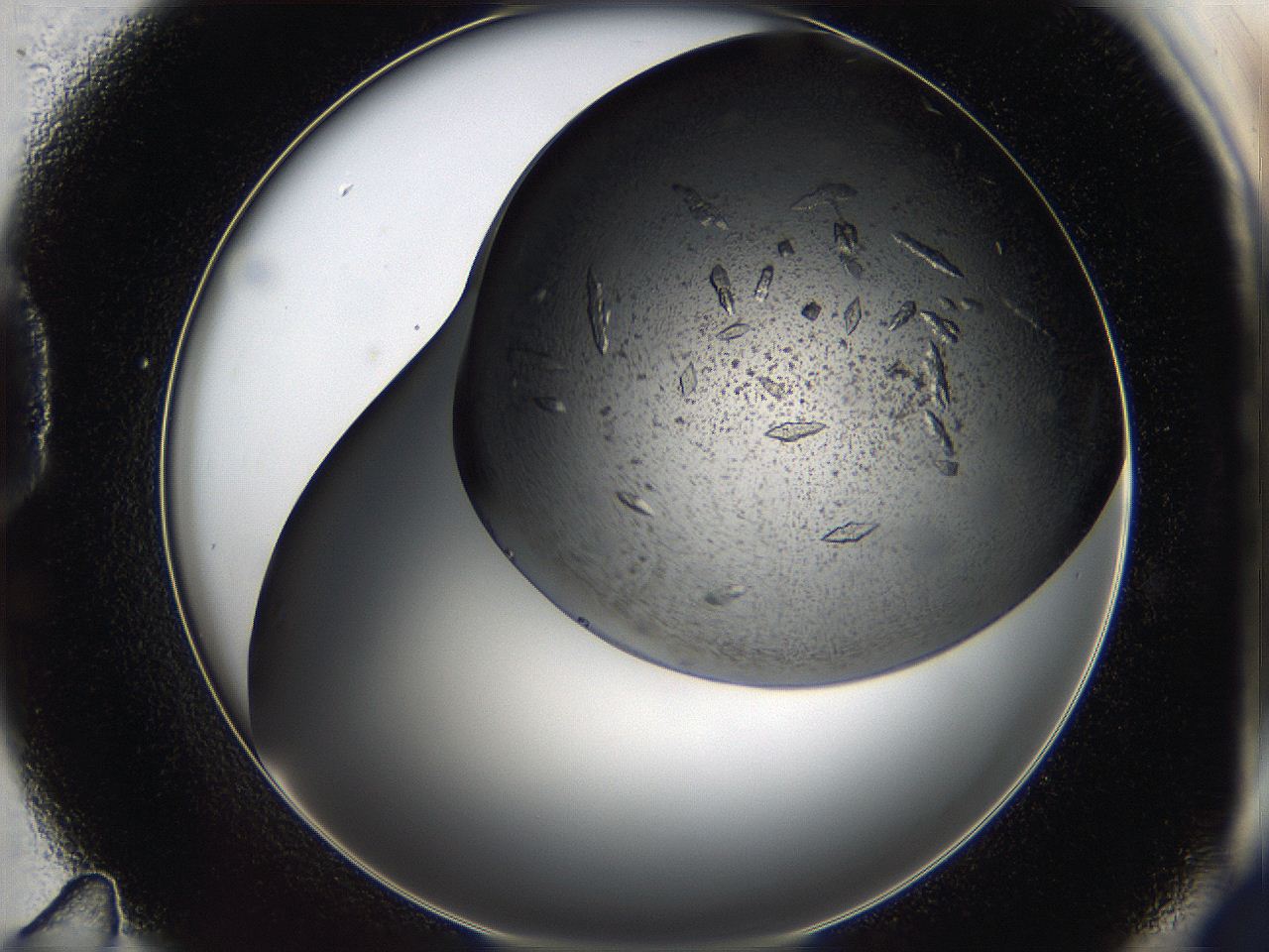 05cg_D11_ImagerDefaults_9.jpg