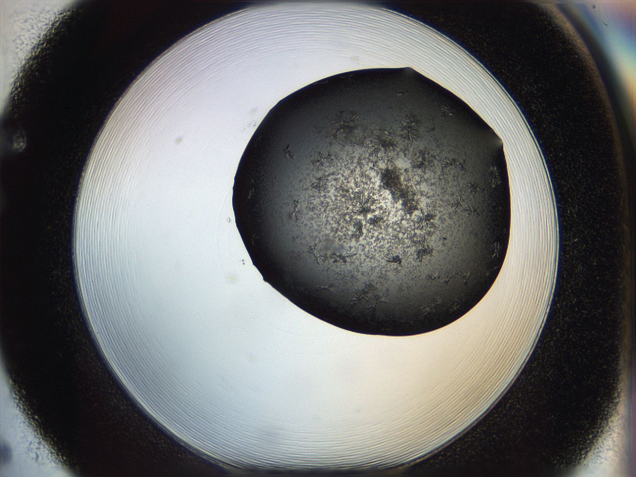 05cg_F5_ImagerDefaults_6.jpg