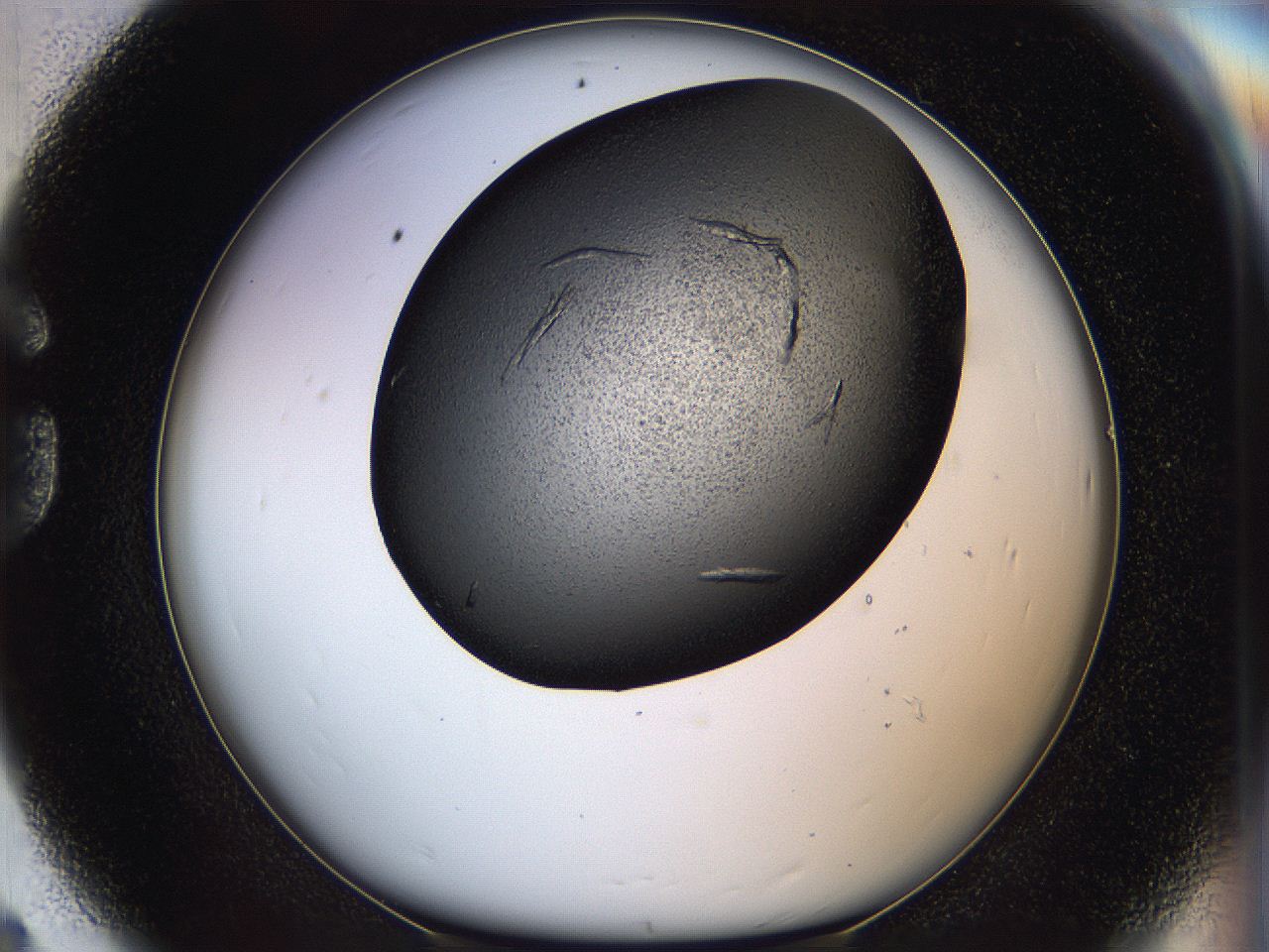 05cg_G8_ImagerDefaults_8.jpg