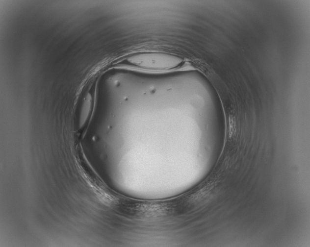 X0000055210349200508301327.png