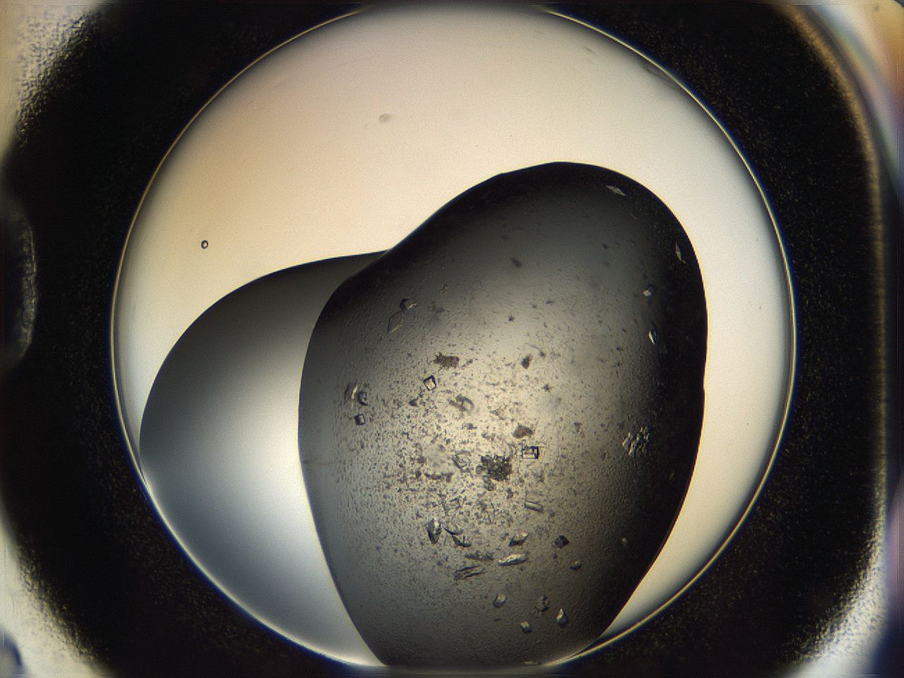 05cg_D2_ImagerDefaults_9.jpg