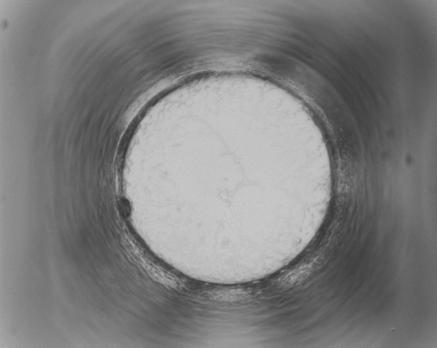 X0000054580837200508300058.png