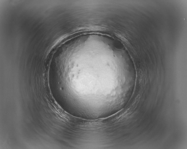 X0000055211163200508301314.png
