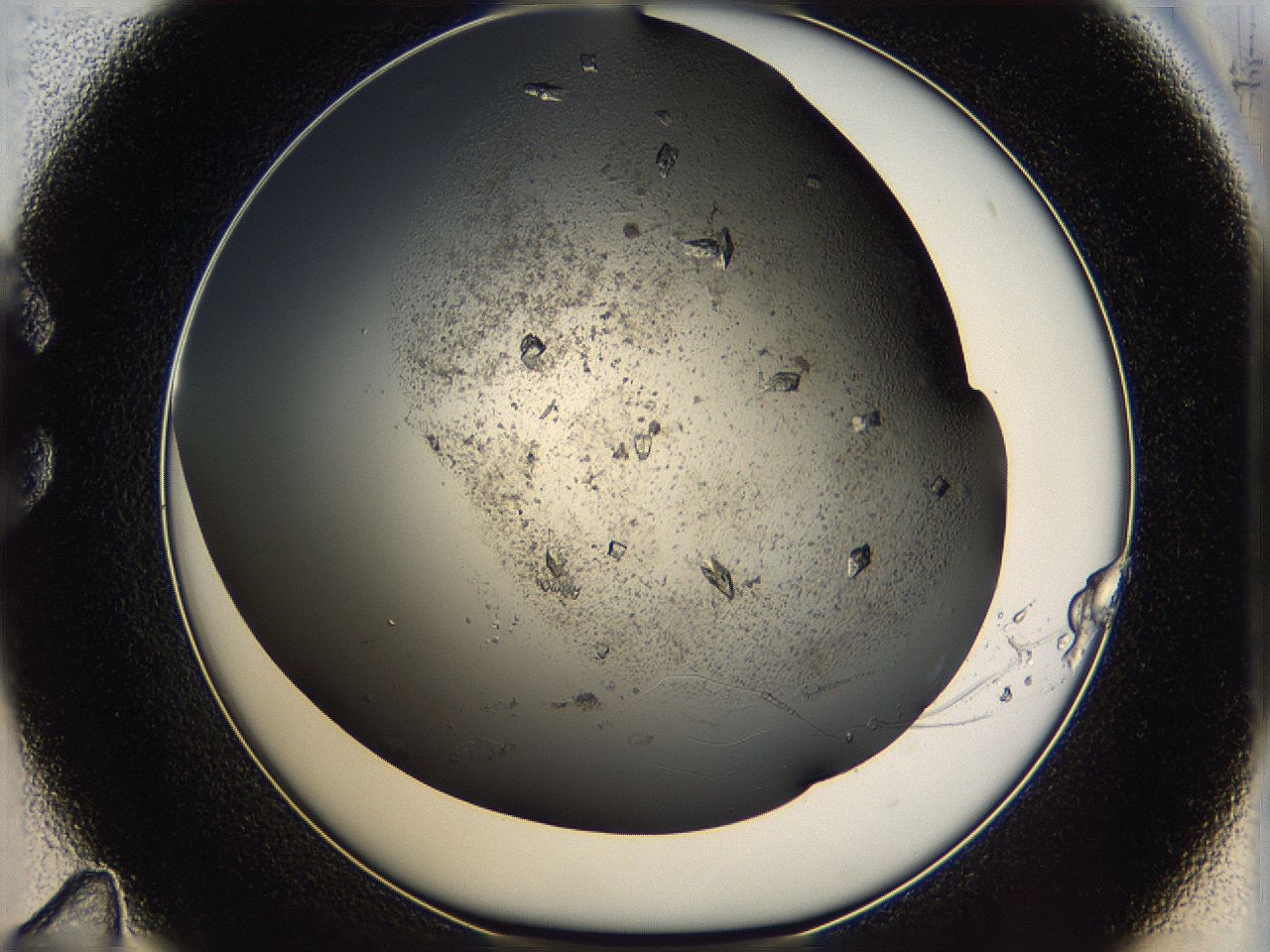 05cg_C11_ImagerDefaults_9.jpg