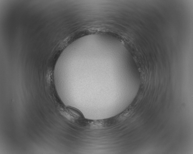 X0000055250574200509071618.png