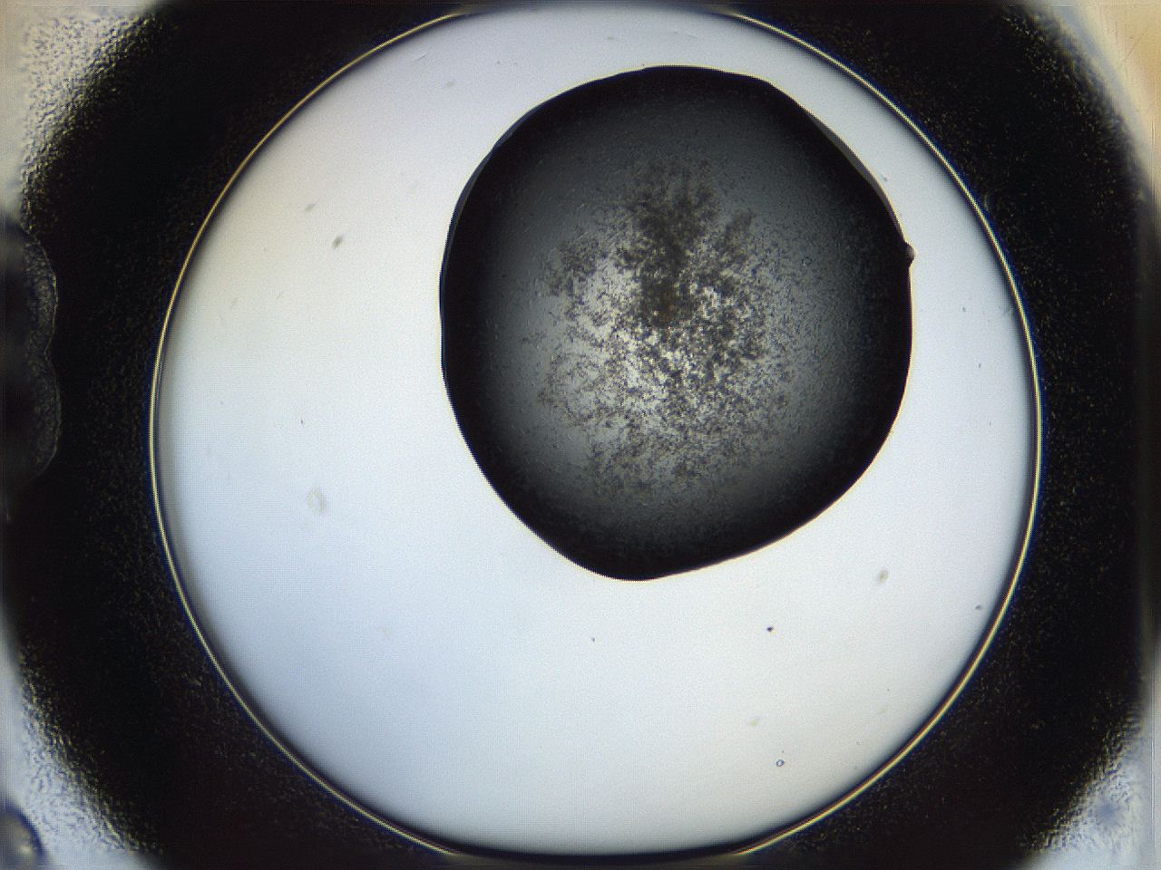 05cg_B9_ImagerDefaults_6.jpg