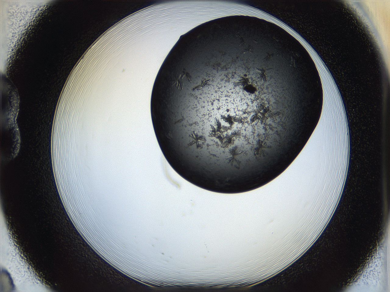 05cg_B8_ImagerDefaults_7.jpg