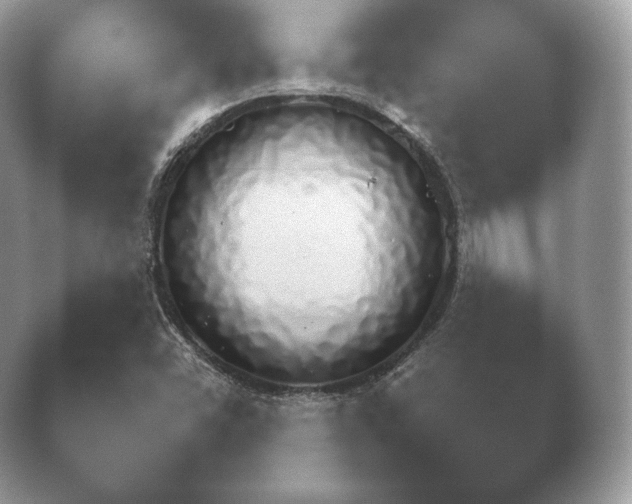 X0000040731454200410201639.png