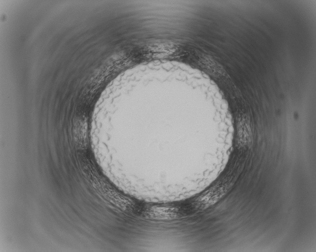 X0000054580657200508300102.png