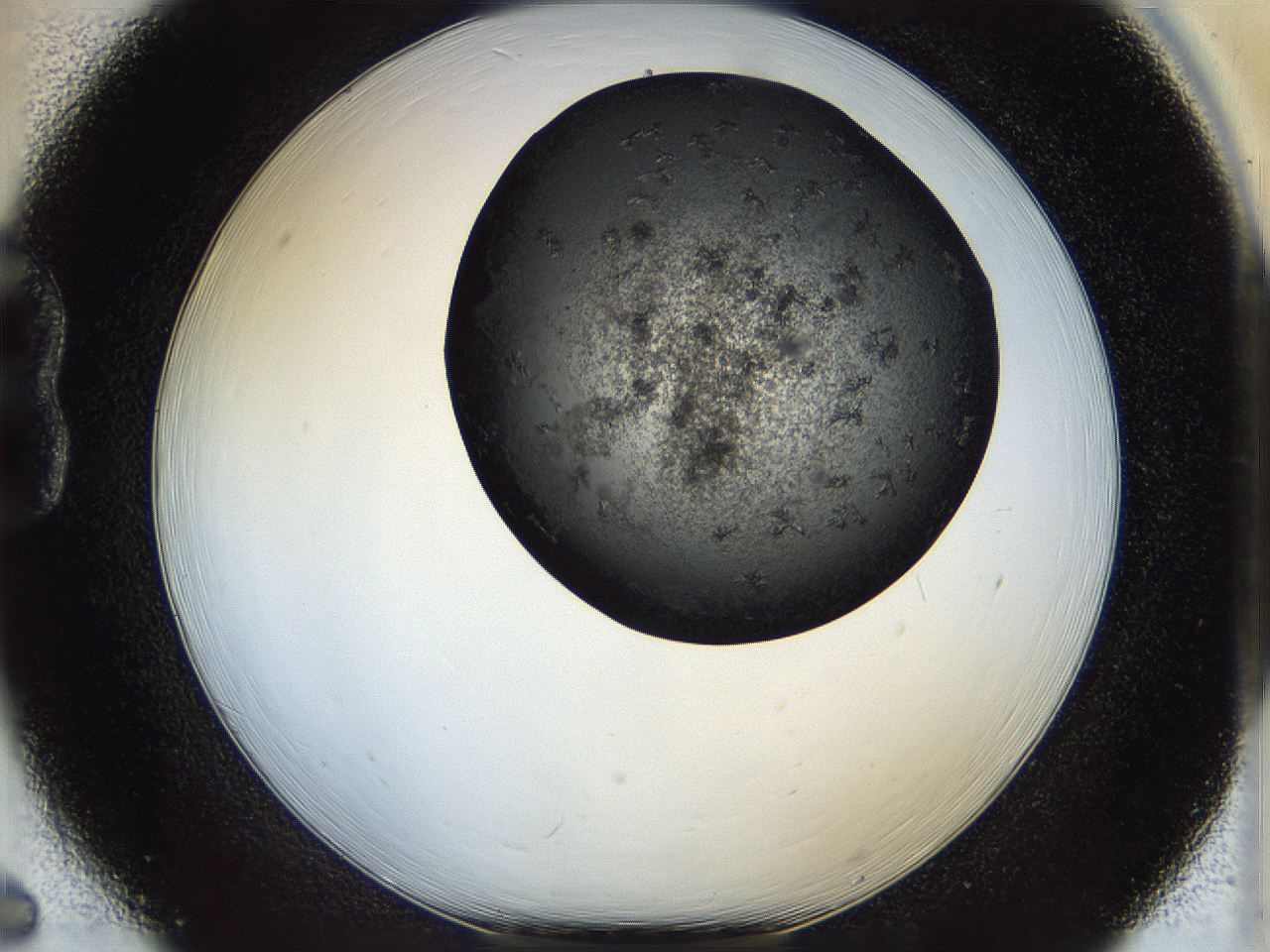 05cg_B6_ImagerDefaults_6.jpg