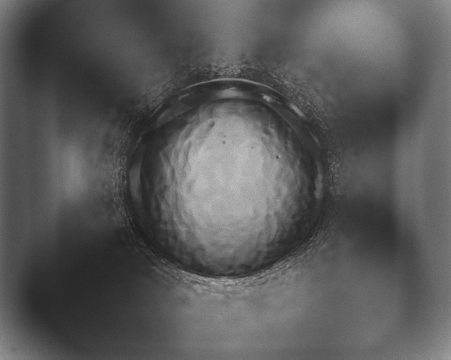 X0000044400034200412290442.png
