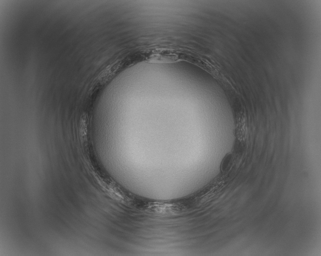 X0000055250472200509071620.png