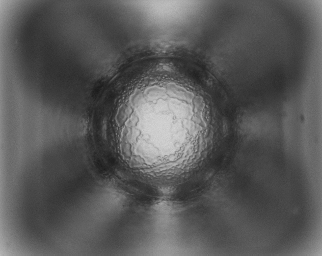 X0000042230315200411232113.png