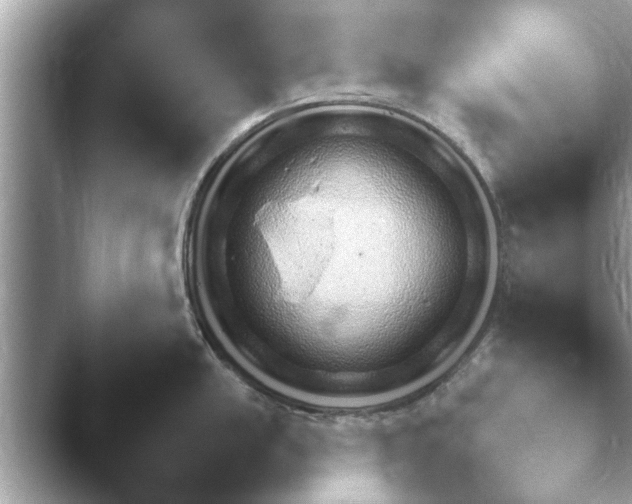 X0000047301054200502251422.png