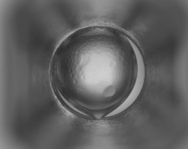 X0000051111387200507141745.png