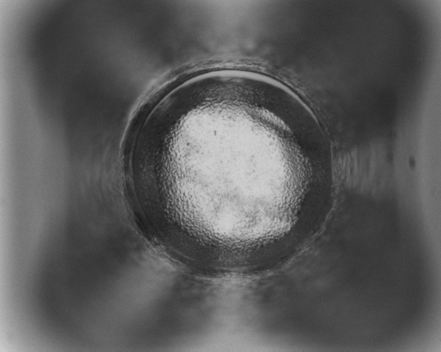 X0000048250198200503171832.png