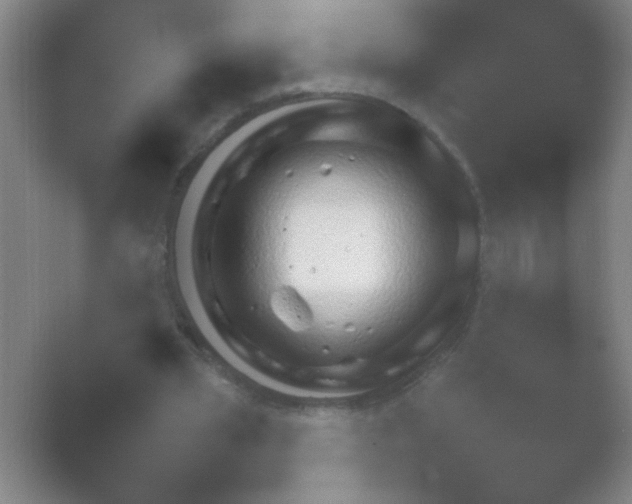 X0000054110437200508022103.png