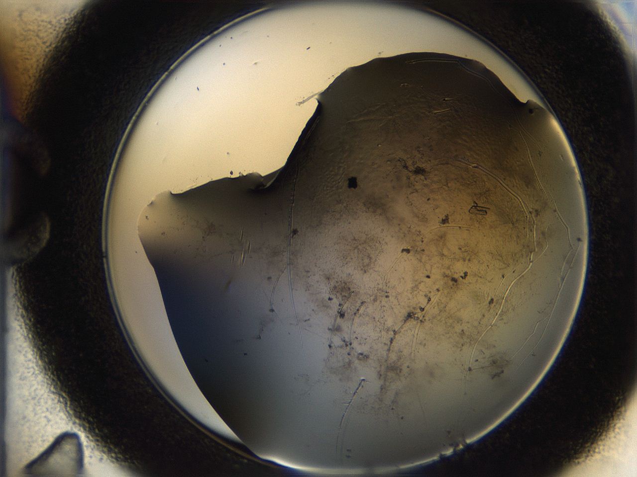 05ch_C11_ImagerDefaults_9.jpg