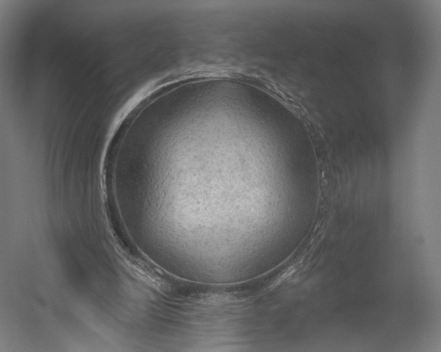 X0000055210246200508301329.png