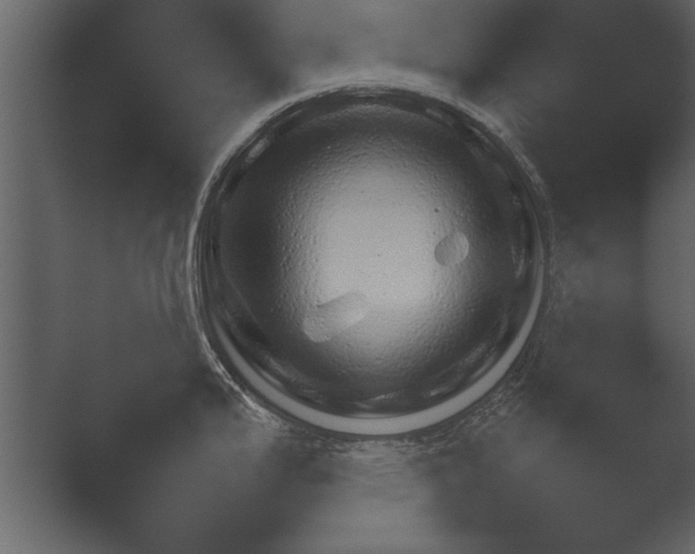 X0000052731199200507141537.png