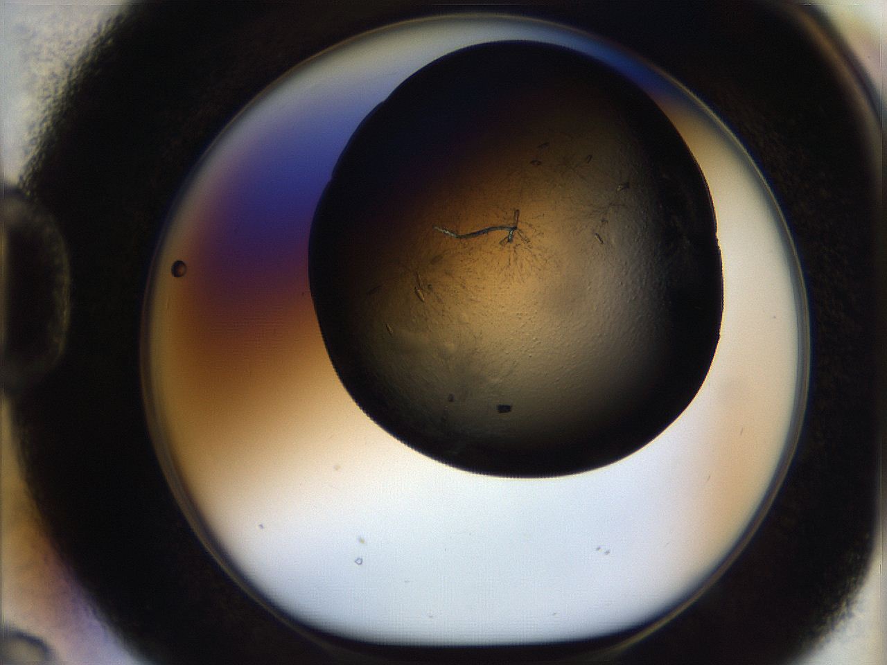 05ch_D2_ImagerDefaults_6.jpg