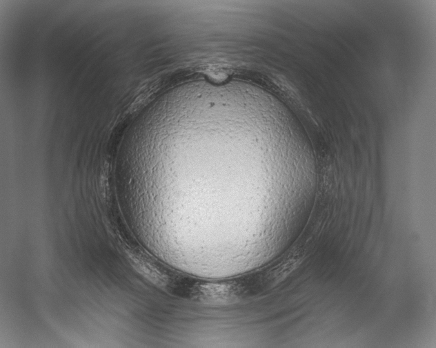 X0000055210265200508301329.png